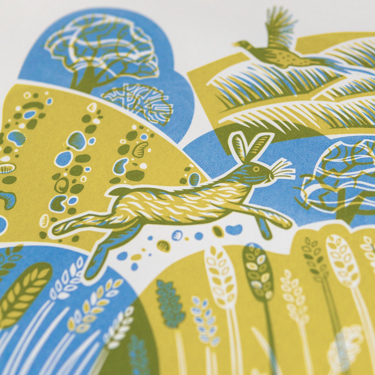 "Town and Country Hare" hand pulled unframed screenprint