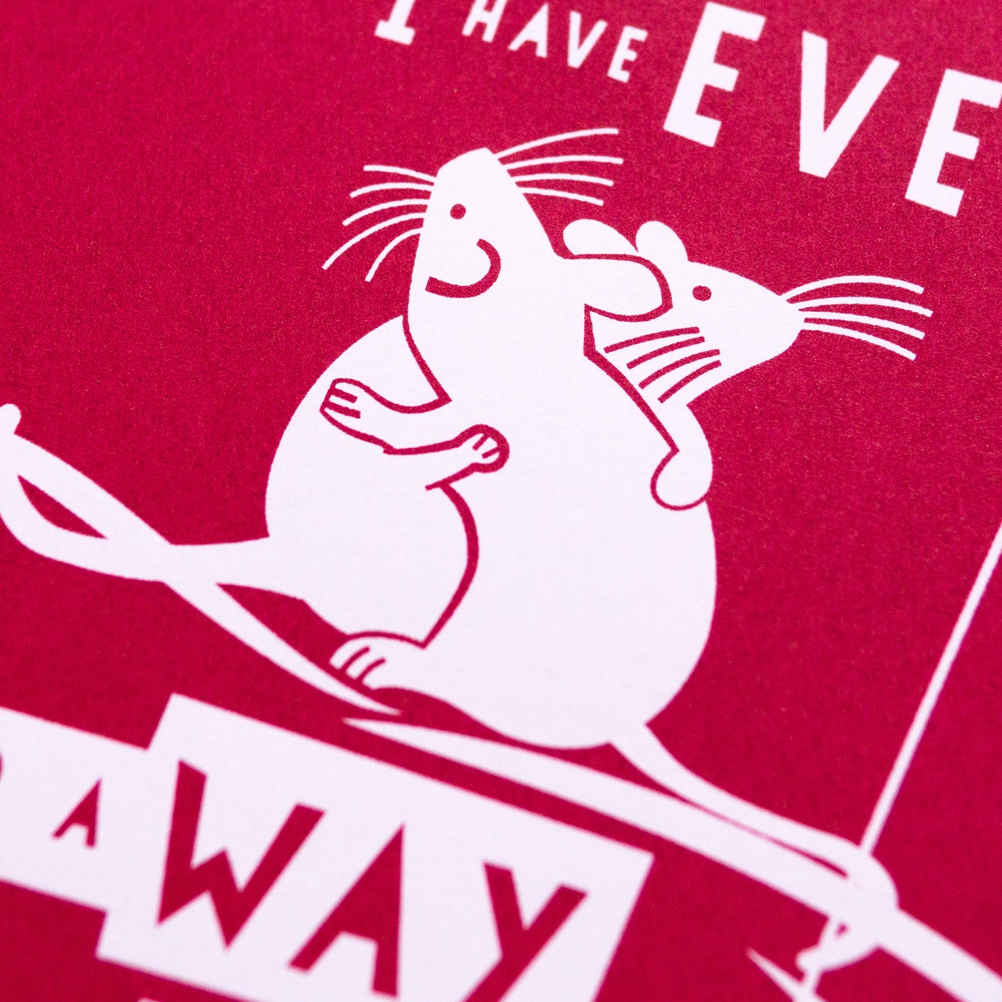 "More Than I Have Ever Found A Way" hand pulled unframed screenprint