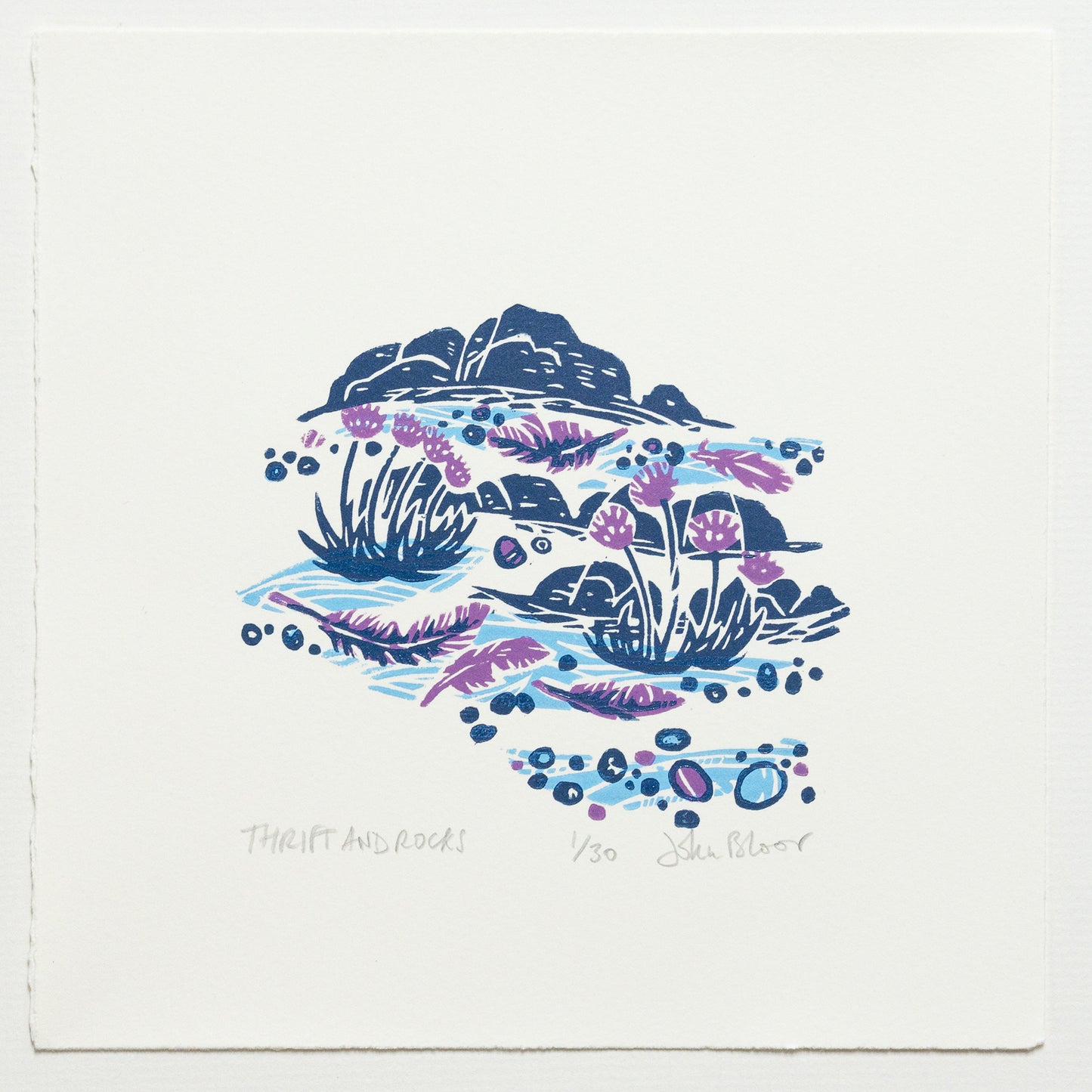 Flow and Furrow "Thrift and Rocks" unframed woodcut print