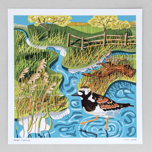 Ruddy Turnstone, unframed digital print