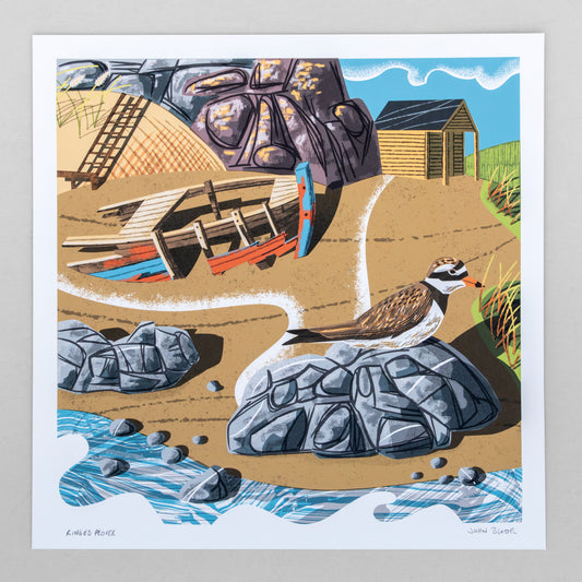 Ringed Plover, unframed digital print
