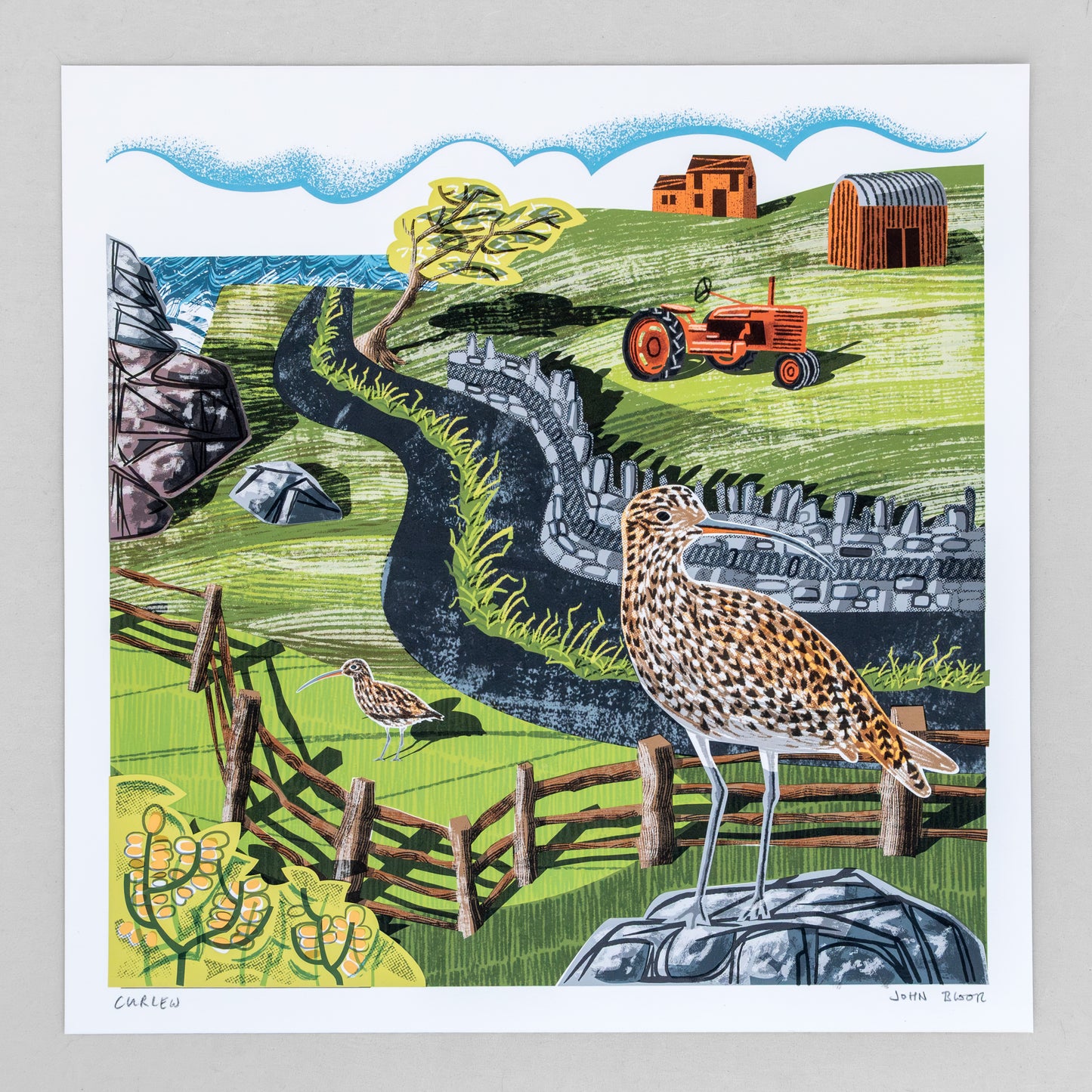 Curlew, unframed digital print