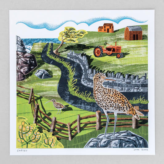 Curlew, unframed digital print
