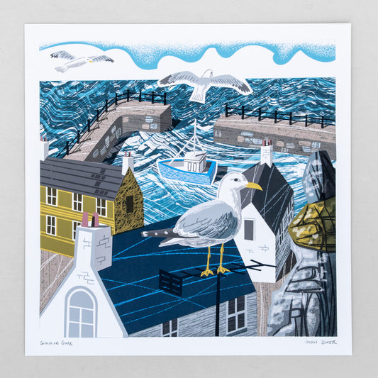 Common Gull, unframed digital print