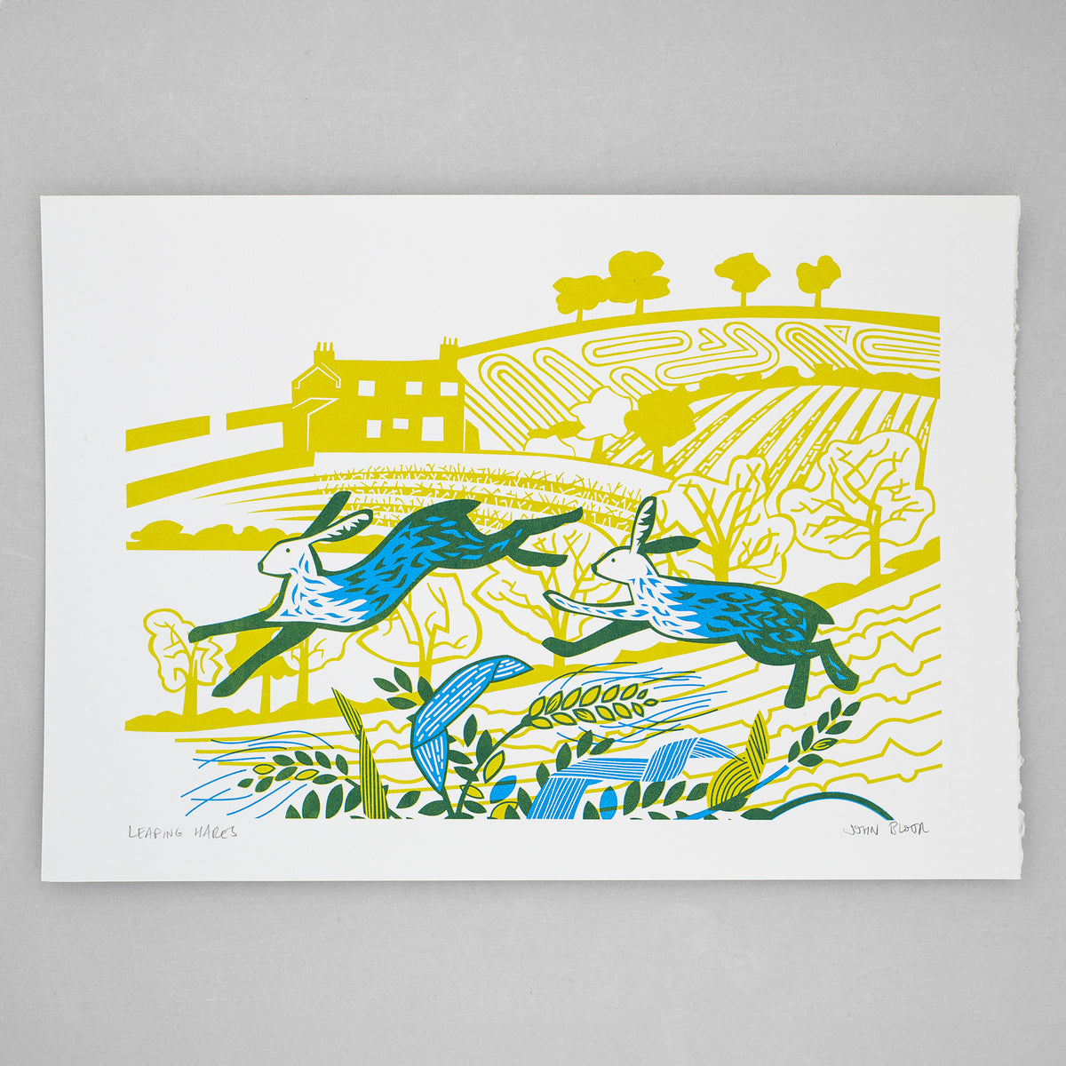 Leaping Hares screenprint in yellow and cyan showing two hares leaping over grasses and wheat in front of a countryside scene.