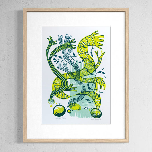 Seaweed Study screenprint. It depicts green and blue seaweed in an abstract style. Some of the seaweed is attached to pebbles. 