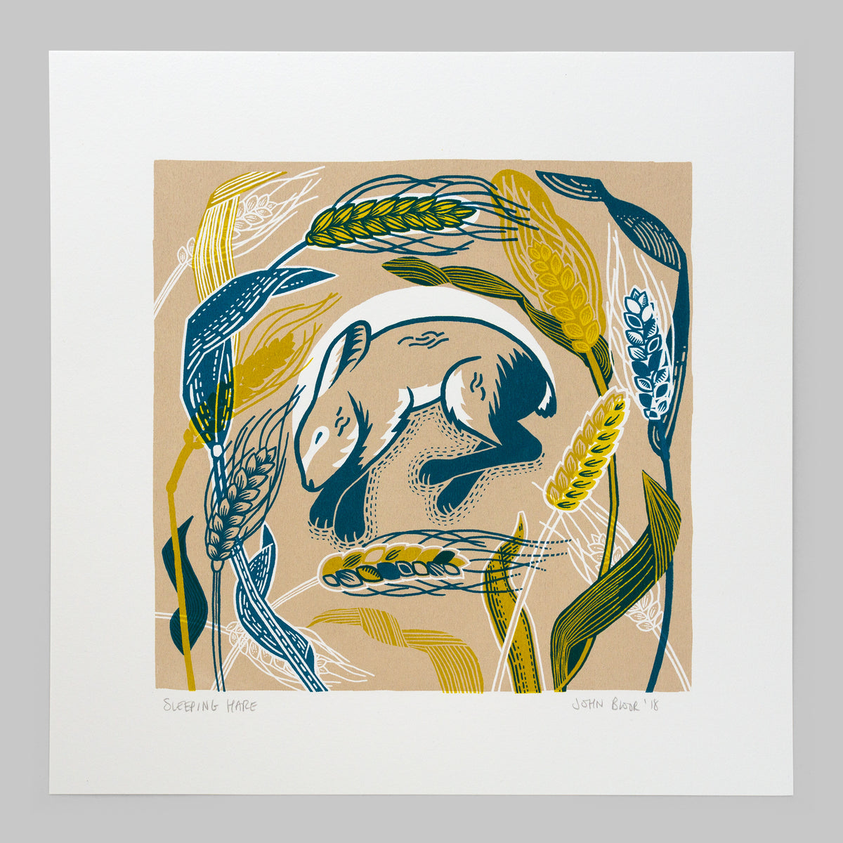 Sleeping Hare screenprint. It depicts a young sleeping hare amongst wheat heads, stalks and leaves in blues and yellows. 