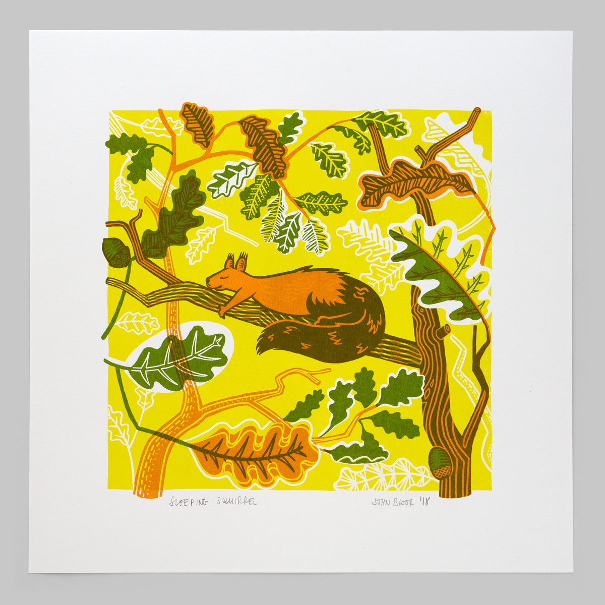 Sleeping Squirrel screenprint. It depicts an orange squirrel sleeping on a branch of an oak tree with oak leaves all around.