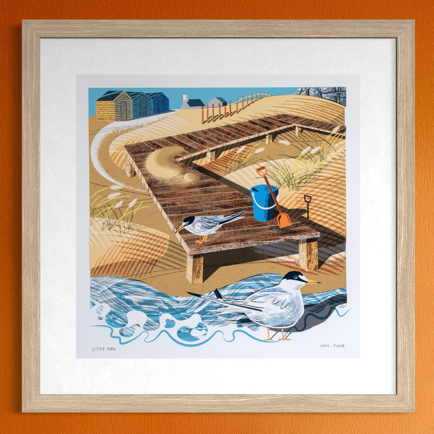 Little Tern, unframed digital print