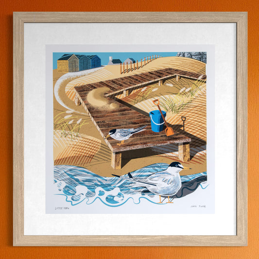 Little Tern, unframed digital print