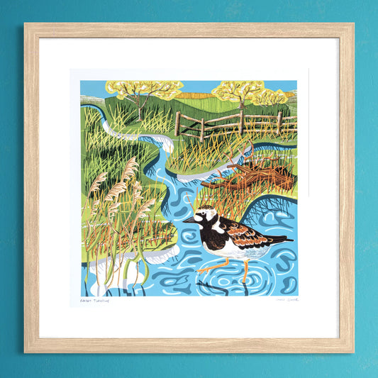 Ruddy Turnstone, unframed digital print