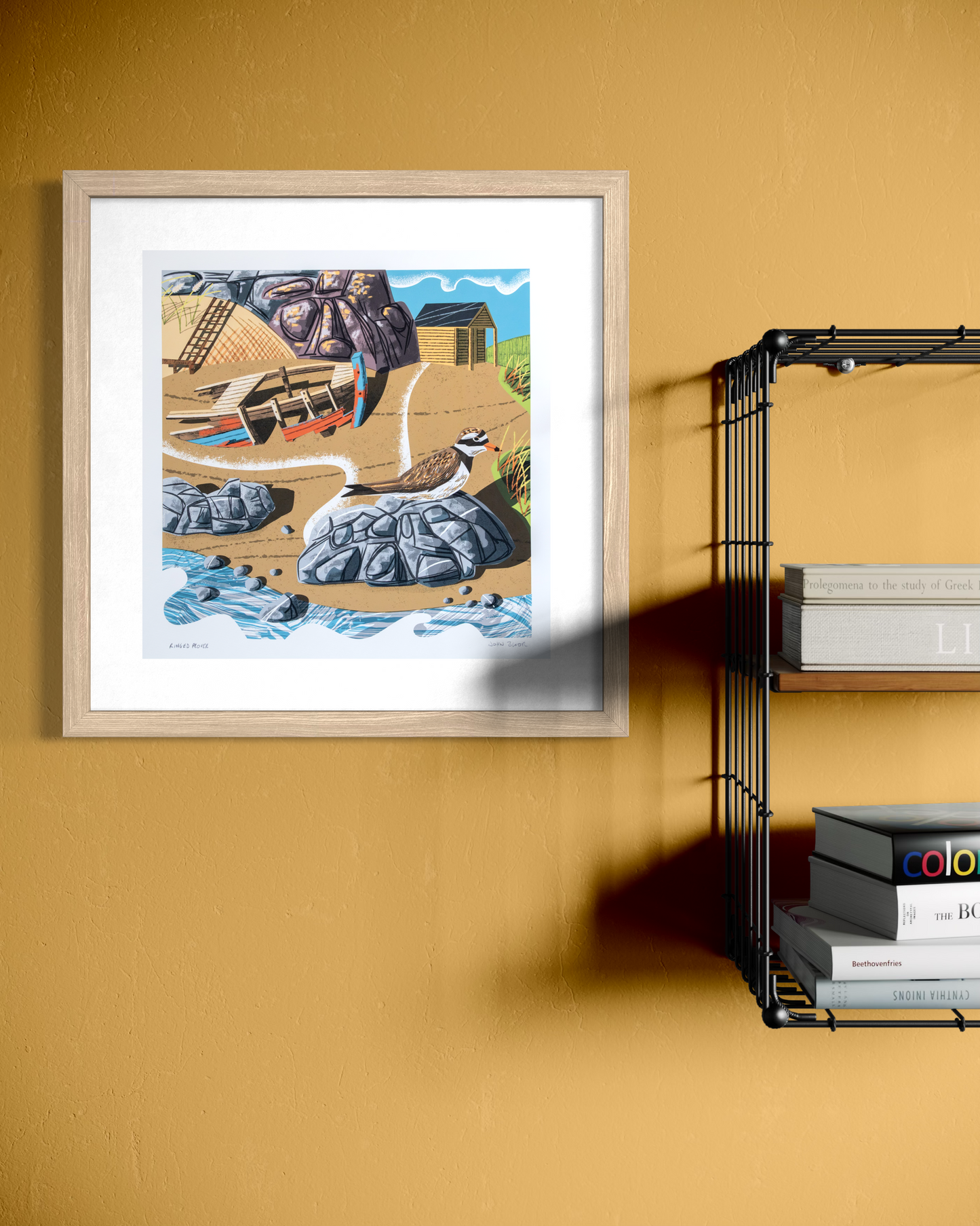 Ringed Plover, unframed digital print