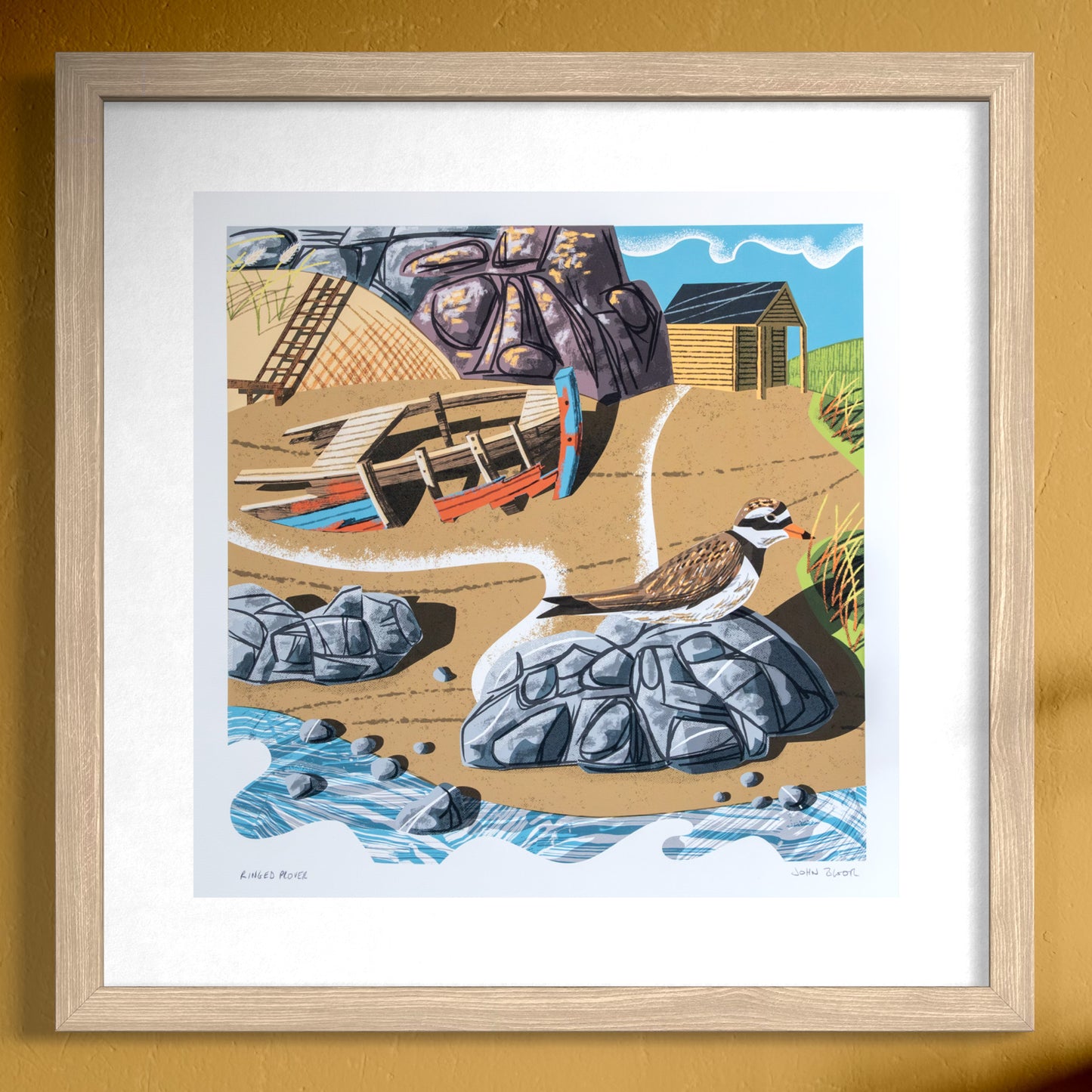 Ringed Plover, unframed digital print