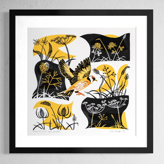Take Flight Goldfinch linocut and screenprint. This print depicts a Goldfinch taking off amongst grasses and seed heads. 