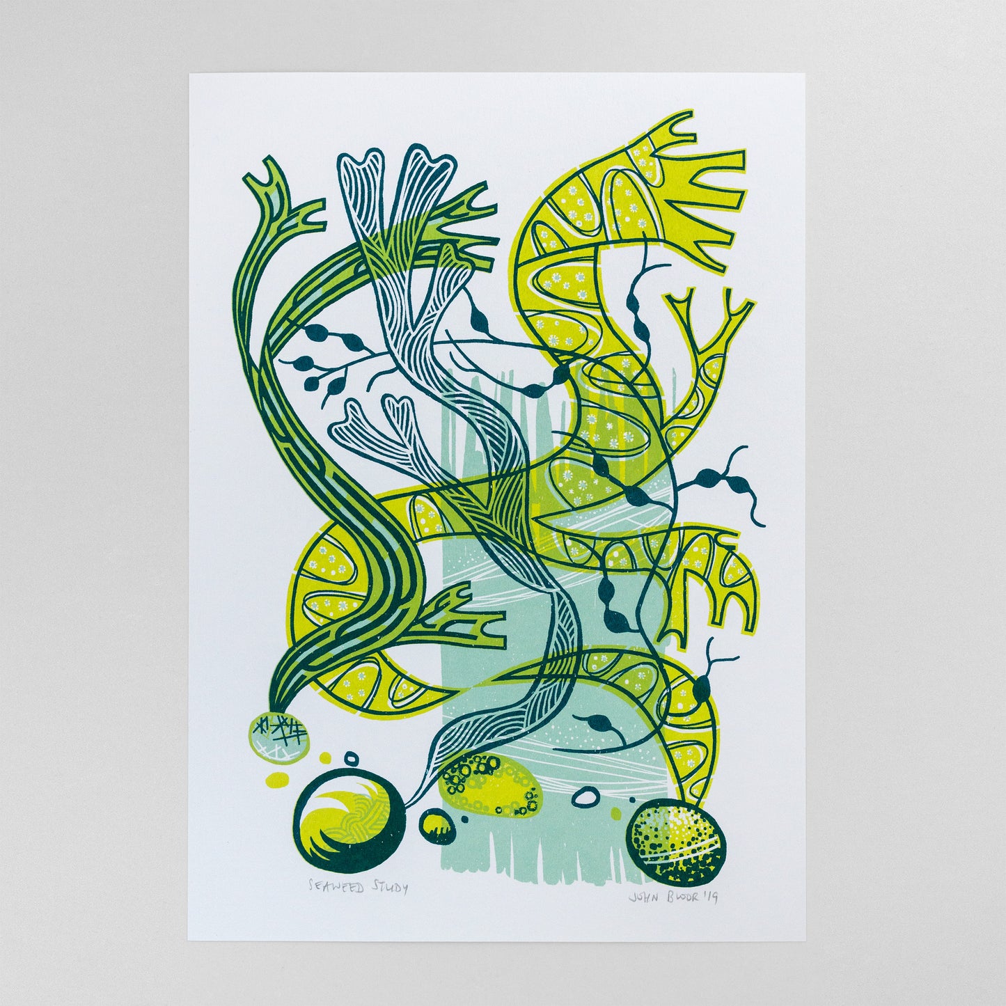 "Seaweed Study" coastal unframed screenprint