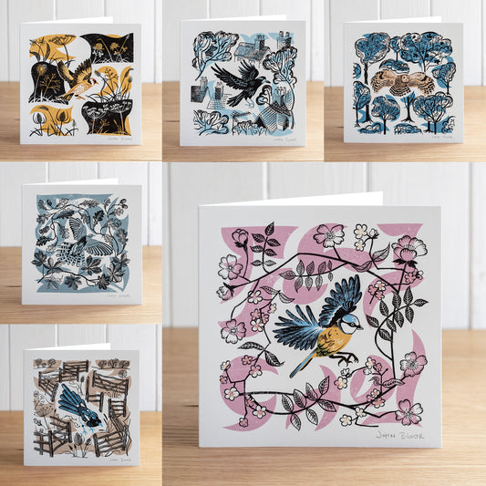All six Take Flight greetings cards with birds in their natural environments. One each of Tawny Owl, Blue Tit, Goldfinch, Crow, Magpie and Cuckoo. 