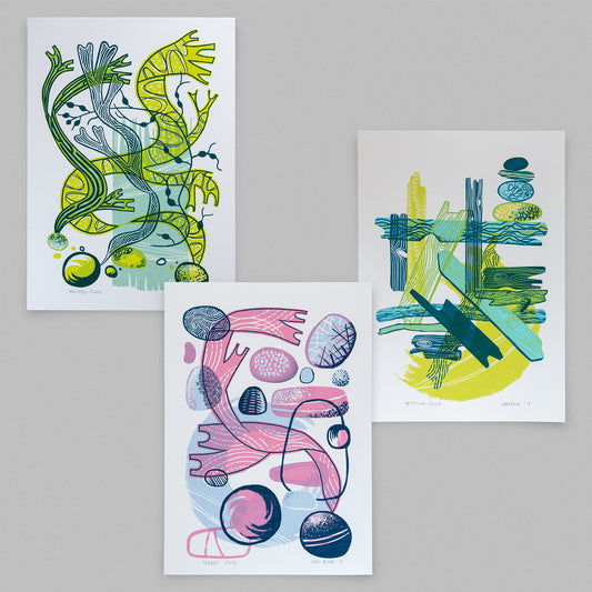 Three coastal studies prints in abstract styles. One depicts seaweed, one depicts driftwood and the last, pebbles.