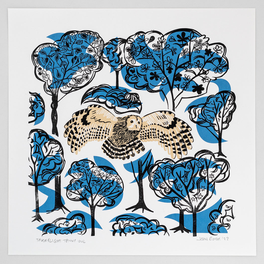 Take Flight Tawny Owl handbedruckter Linolschnitt und Siebdruck 