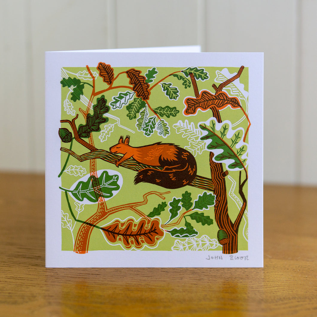 Sleeping Animals Squirrel greetings card, Christmas card, blank inside