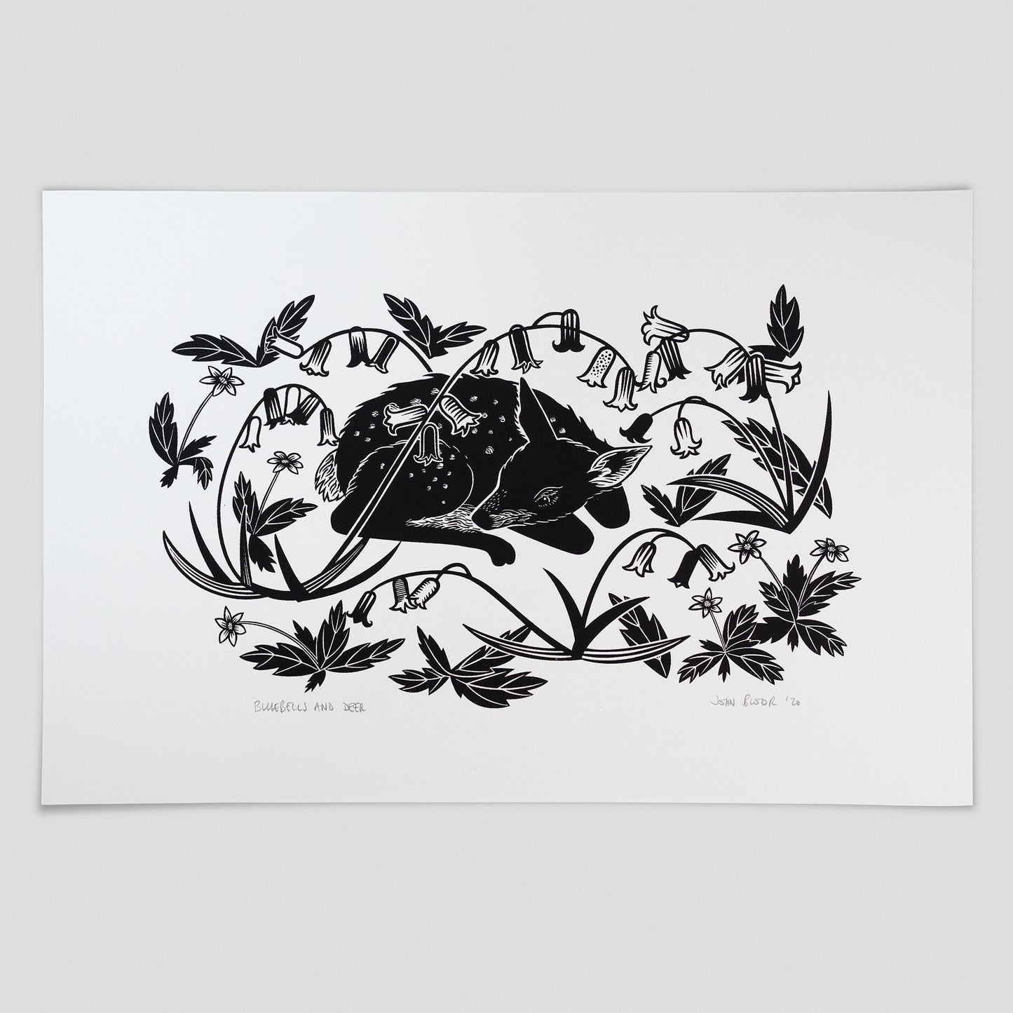 "Bluebells and Deer" hand pulled unframed screenprint
