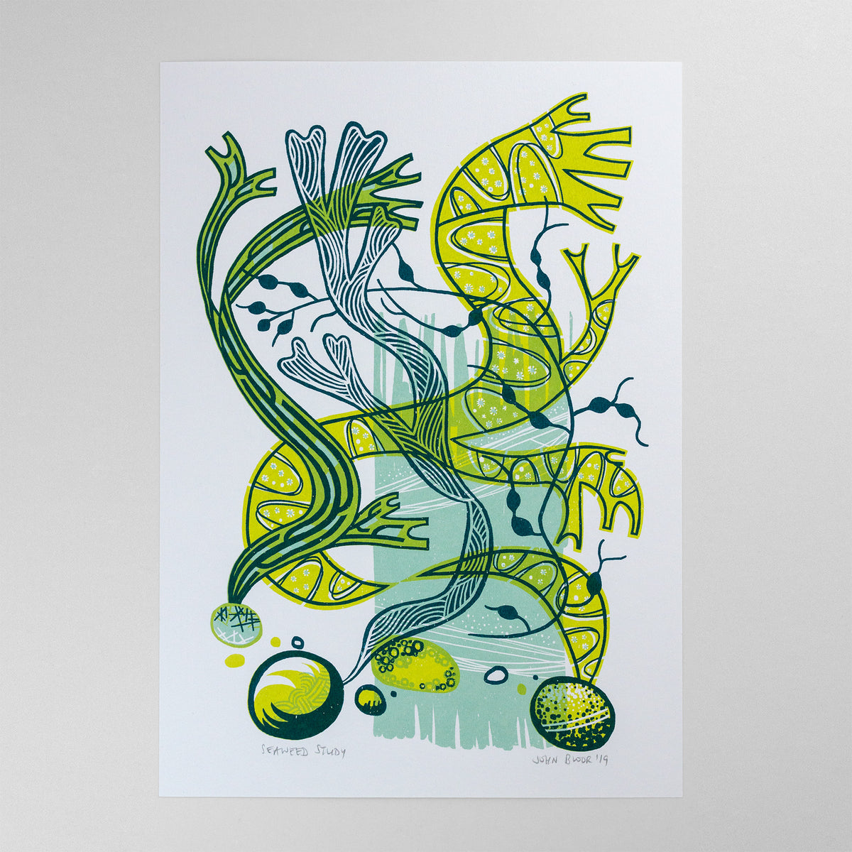 Seaweed Study screenprint. It depicts green and blue seaweed in an abstract style. Some of the seaweed is attached to pebbles. 