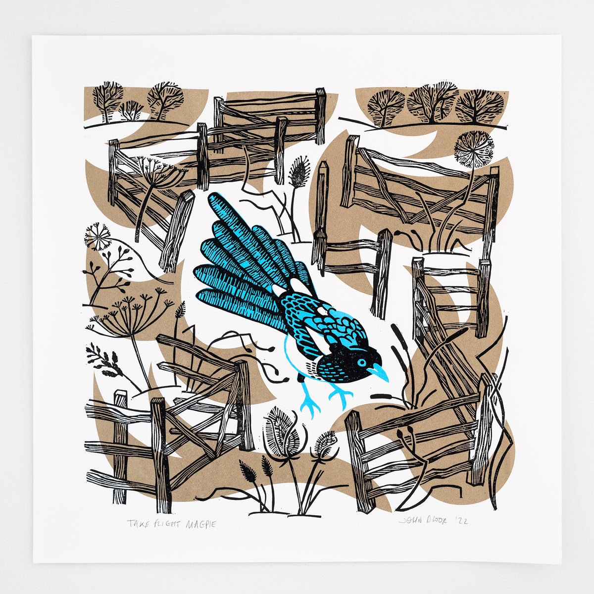 Take Flight Magpie linocut and screenprint depicting a Magpie standing amongst fences and seed heads.