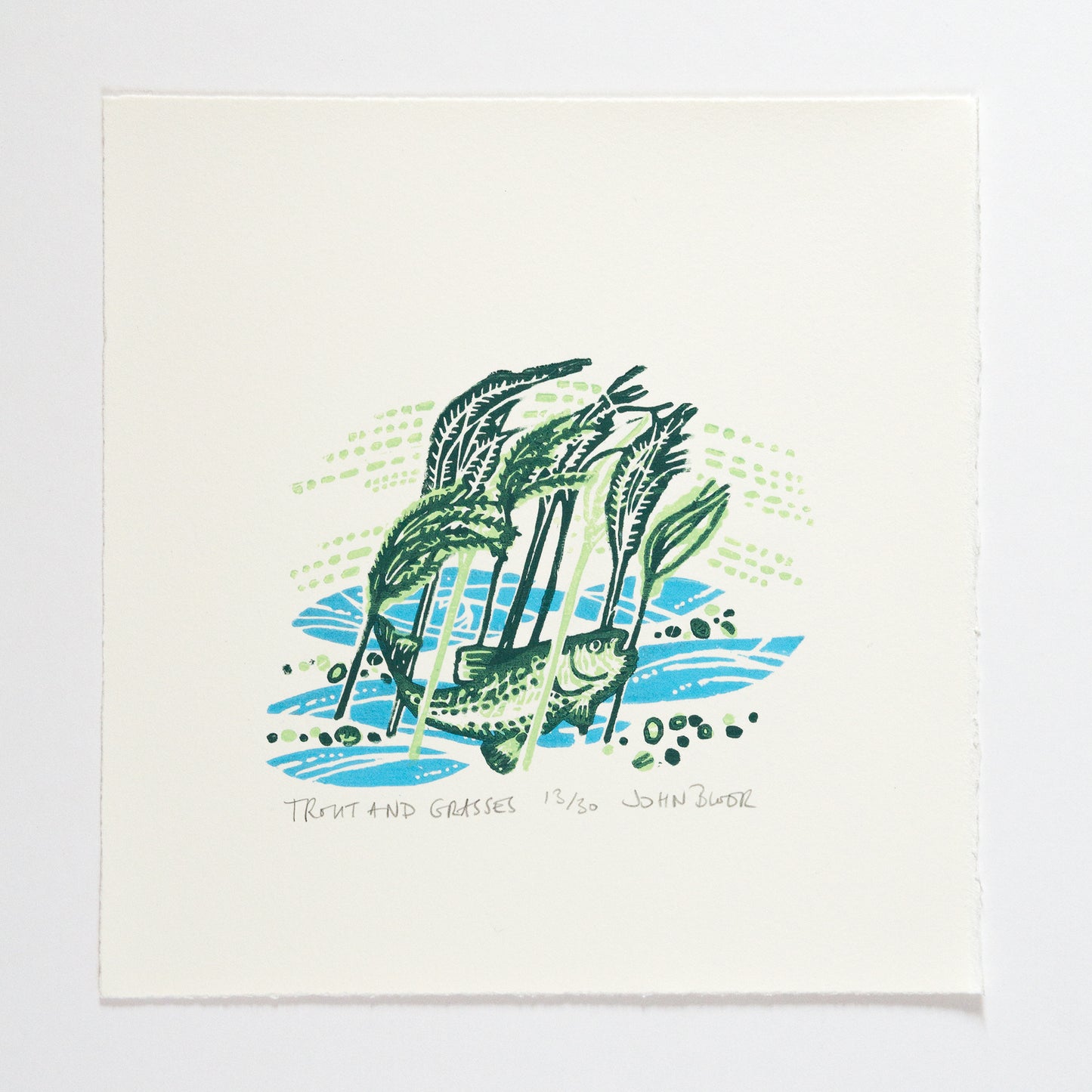 Flow and Furrow "Trout and Grasses" unframed woodcut print