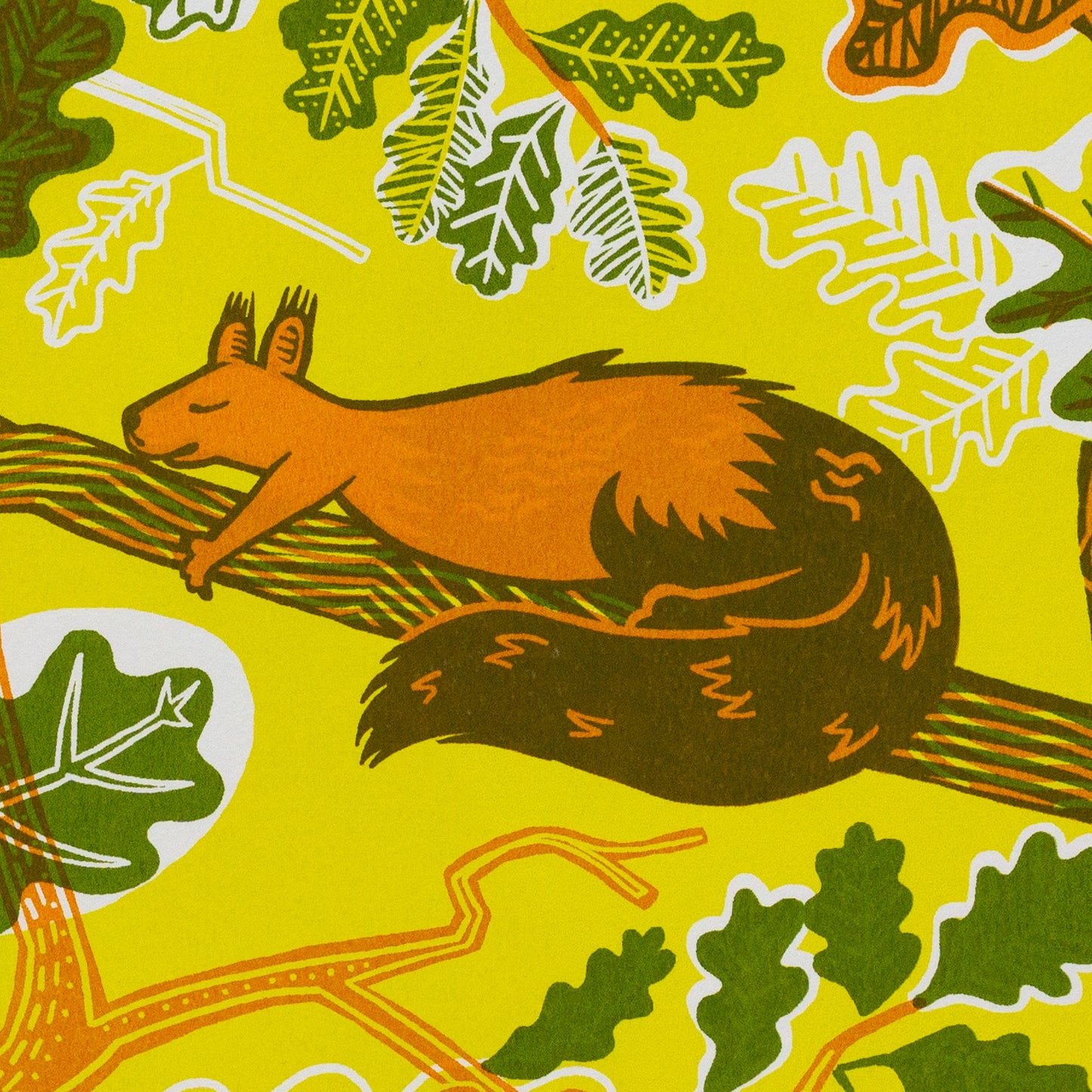 Sérigraphie tirée à la main « Écureuil endormi » 